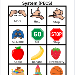 100+ Customizable PEC Icons + Blank Pages for Personalized Communication Tools | Ideal for Autism, AAC, & Special Education